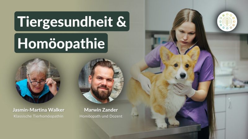 Homöopathie_Kongress_TN_Tag_2_Jasmin-Martina Walker