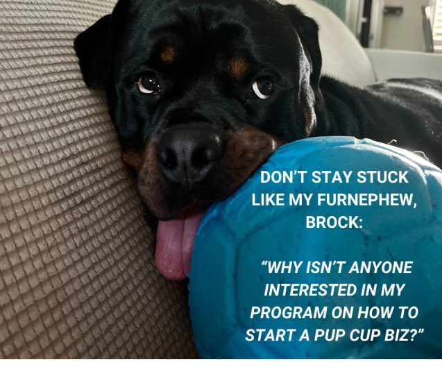 BROCK PUP CUP BIZ