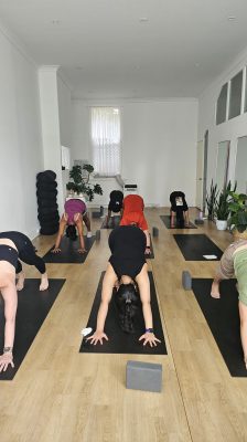 inbound2461593827659524631