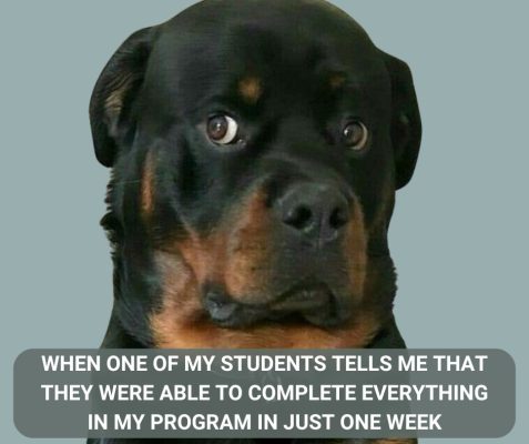 455691555_10162077318471340_1303356695226955398_n