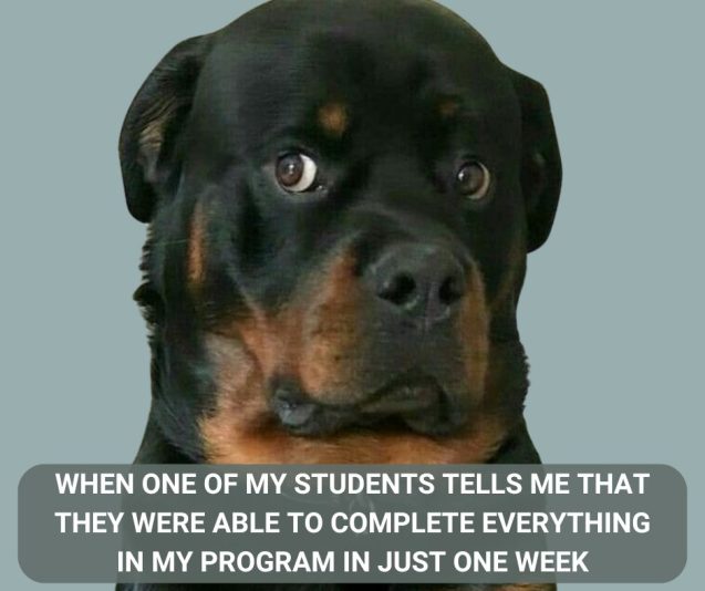 455691555_10162077318471340_1303356695226955398_n