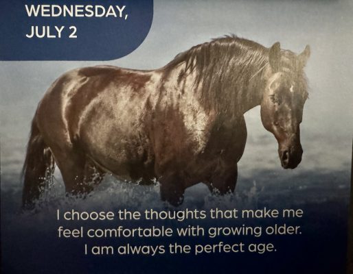 515510371_10239017793129049_8416820226358709168_n