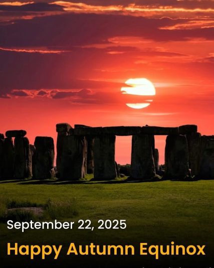 6177EEED-64D2-41C5-A09D-96C2D2A65742