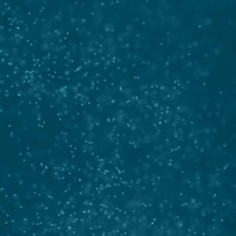 IG Reel Who are the voices in your head (Facebook Video)